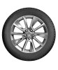 Nokian Tyres (Ikon) Nordman 7 SUV 265/60 R18 114T (XL) заказать